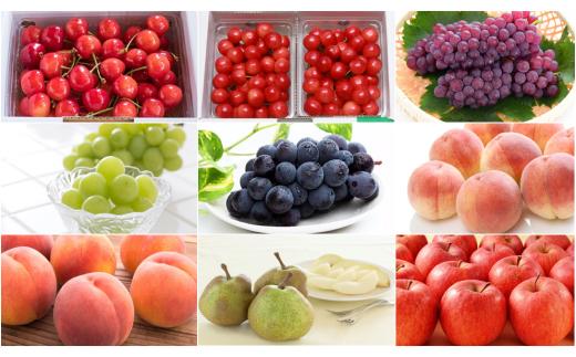 08-08-026　天童特選フルーツめぐり(定期便)全9回