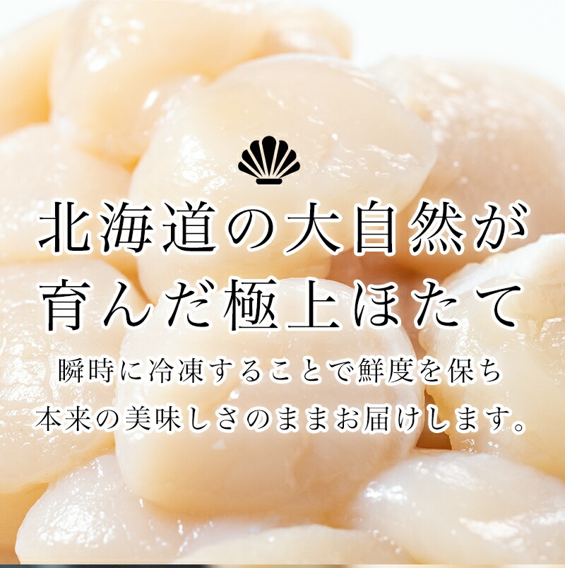 北海道産冷凍ホタテ貝柱大（500g×2パック）「1kg」 ＜ワイエスフーズ＞ 小分け チャック付き 海鮮丼 森町 魚貝類 帆立 ホタテ ほたて 魚介類 貝 ふるさと納税 北海道 訳あり mr1-074