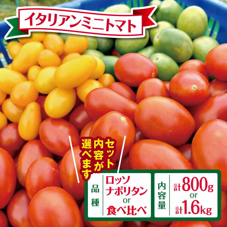 【ふるさと納税】【2025年先行予約】【 選べる 種類・ 容量 】イタリアンミニトマト 800g or 1600g | 野菜 ミニトマト プチトマト トマト 高リコピン 小分け とまと ロッソナポリタン ナポリターナカナリア サリーナエメラルド 鈴木アルファーム 君津市 きみつ 千葉県