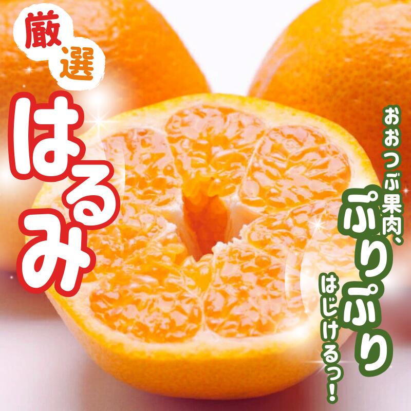 【ふるさと納税】 ＜先行予約＞ 厳選 はるみ 1kg / 2.5kg / 5kg 7.5kg 10kg（傷み補償分付）【デコポンの姉妹品種・新食感春みかん】【光センサー選別】 ＜2026年2月上旬～3月下旬順次発送＞ / みかん 和歌山 わかやま フルーツ オレンジ 果物 くだもの おすすめ 有田みかん