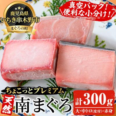 ふるさと納税 いちき串木野市 【ちょこっとプレミアム】天然南まぐろフルセット 計約300g