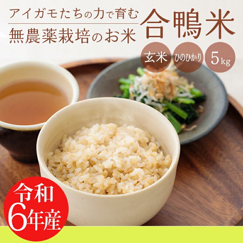 【ふるさと納税】 有機栽培 令和6年産 合鴨米ひのひかり 玄米 5kg 送料無料 深い味わい世界でも珍しい希少ミネラルを高濃度で含有の霧島山麓から湧き出る名水育ち 合鴨農法 残留農薬ゼロ 安全・安心 九州産 宮崎県産 高原町産 産地直送 節水 2024年産 20000円 故郷納税