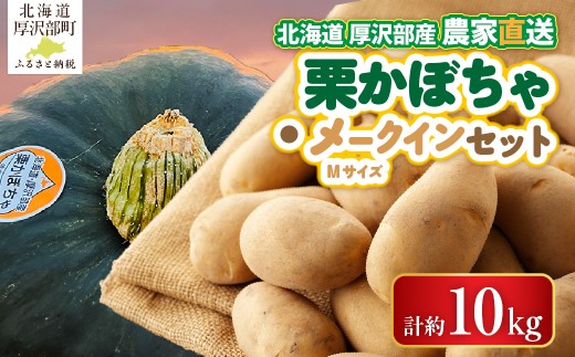 【2026年9月下旬より発送】栗かぼちゃ1個・メークインのセット 約10kg【Ｍサイズ】 【 ふるさと納税 人気 おすすめ ランキング 野菜 セット かぼちゃ カボチャ 南瓜 栗かぼちゃ じゃがいも ジャガイモ メークイン カレー コロッケ 煮物 肉じゃが ポテトチップス フライドポテト ポテトサラダ じゃがバター シチュー 北海道 厚沢部 送料無料 】 ASO041