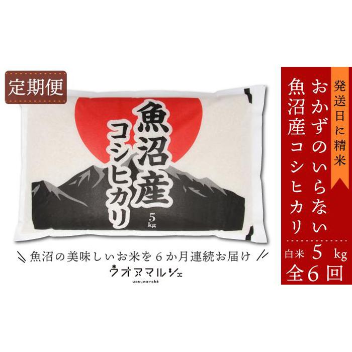 【ふるさと納税】【令和7年産新米予約】【お米定期便/全6回】 おかずのいらない 魚沼産コシヒカリ　白米5kg【2025年10月上旬より順次発送予定】 | お米 こめ 白米 コシヒカリ 食品 人気 おすすめ 送料無料 魚沼 南魚沼 南魚沼市 新潟県産 新潟県