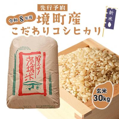 ふるさと納税 境町 米 玄米 コシヒカリ 30kg 令和8年産 国産 茨城県 境町産 大容量 数量限定 こしひかり お米