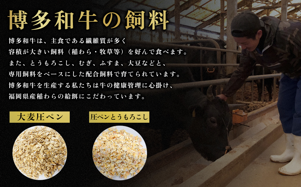 2J2【福岡県産】 博多和牛切り落とし 1.6kg