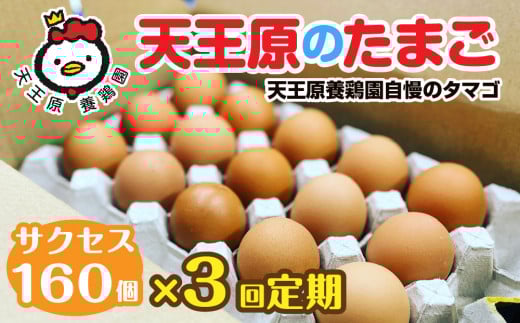 【定期便】3回定期 【天王原のたまご】 サクセス卵160個入り【定期便 3回定期便 セット たまご 卵 玉子 タマゴ 濃厚  ハリ 弾力 ボリューム 甘味 旨味 卵黄 風味 生 コク 甘味 卵かけご飯 卵焼き 目玉焼き オムレツ 茶碗蒸し お菓子作り パンの材料】