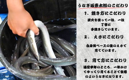 【訳あり】 坂東太郎 国産鰻の鰻蒲焼 小2枚
