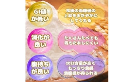 米粉 さがびより米粉 1kg×2袋 2kg 粉 佐賀県産 五つ星お米マイスター厳選 グルテンフリー お米 コメ こめ 料理 揚げ物 お菓子 離乳食 ※配送不可:離島