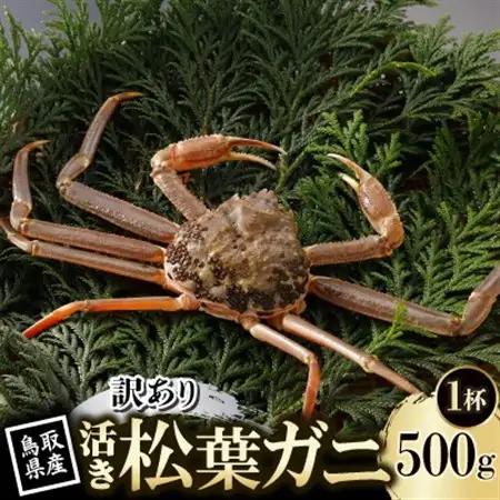 【先行予約】鳥取県産 訳あり 活 松葉がに 500g×1杯(中村商店)26年12月・27年1月発送【配送不可地域：離島・北海道・沖縄県・東北・信越、北陸】【1692746】