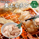 【ふるさと納税】国産馬肉 生ホルモン 約1.4kg 焼肉・煮込み用 国産 九州産 熊本産 ホルモン 馬肉 大腸 冷凍 送料無料