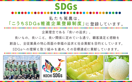 【12回定期便】マスクメロン（贈答用） 1玉入 青肉品種 高級メロン！ ／ マスクメロン 果物 フルーツ ギフト 農家直送 Wtn-0052