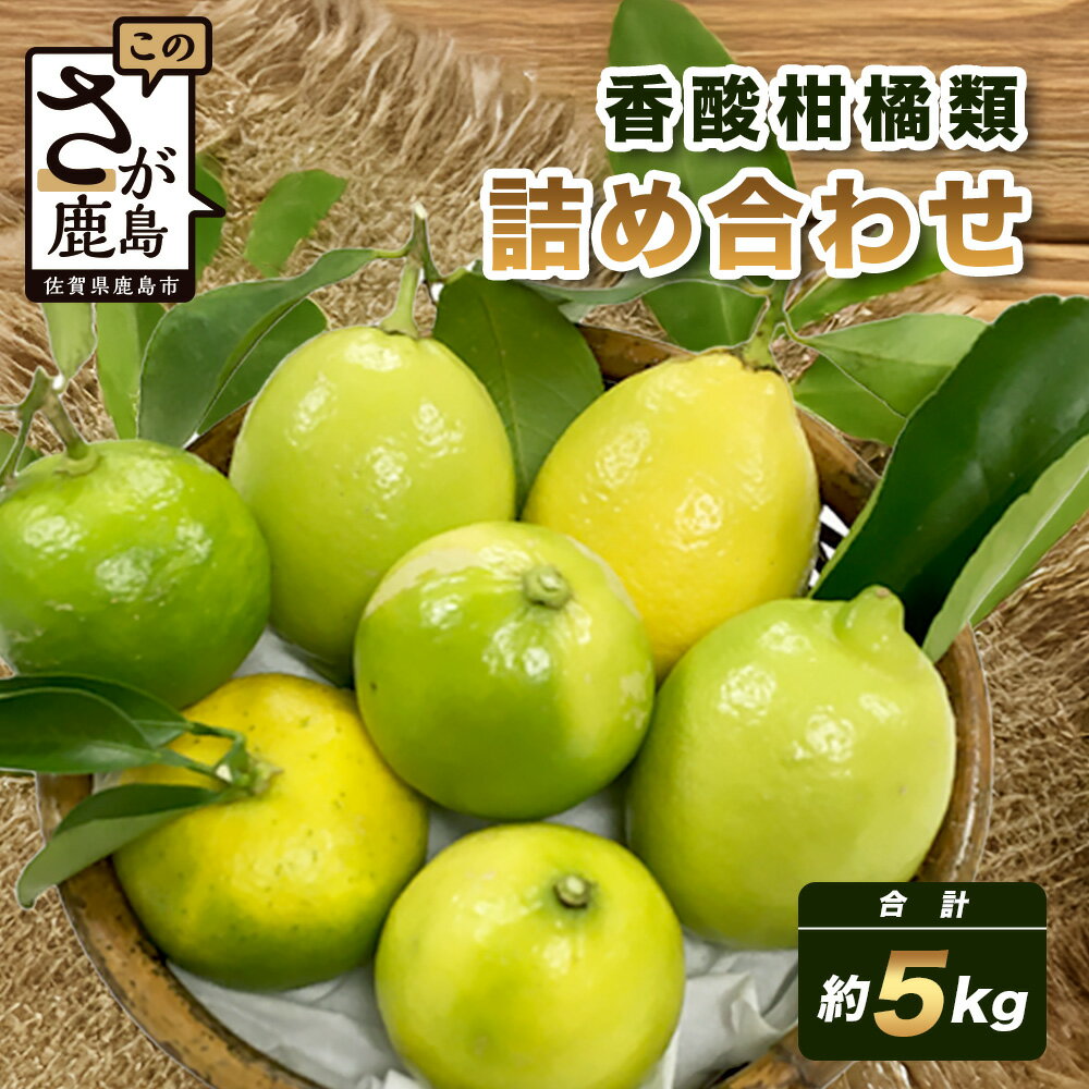 【ふるさと納税】香酸柑橘類セット （リスボンレモン・キノス・げんこう・ライム）【約5kg 】メディアも注目の柑橘類の名人直送！かんきつ 柑橘 檸檬 れもん レモン 木酢 げんこう 薬味風味付け 国産 九州産 鹿島市産 佐賀県 鹿島市 送料無料 B-366