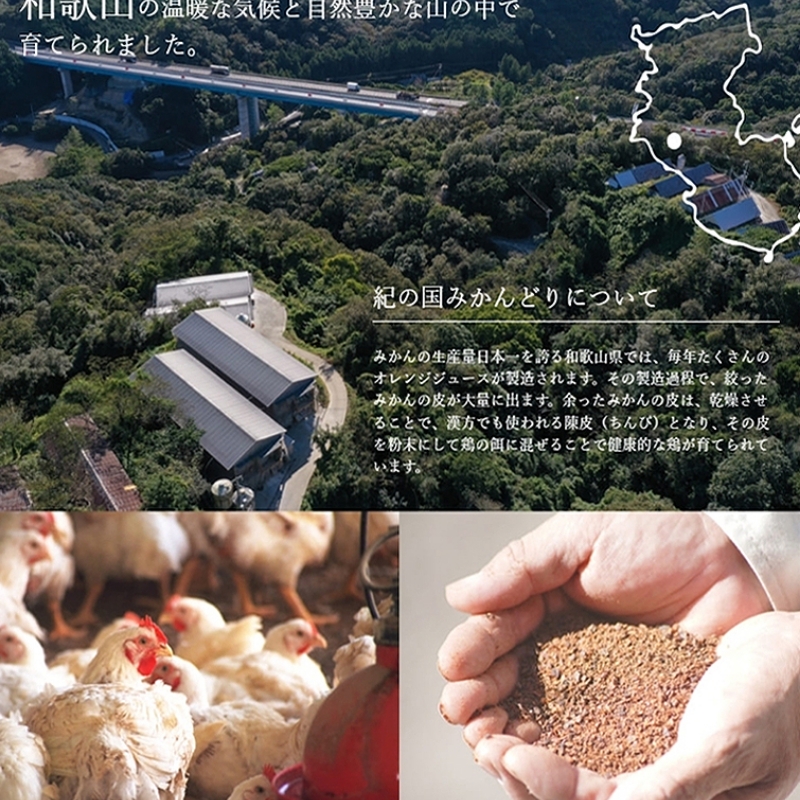 紀の国みかんどり　丸鶏　1羽(約2kg)