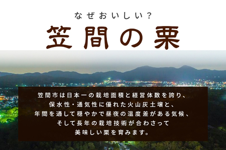 生栗 栗 2kg 3L 以上 特大 数量限定 国産 和栗 くり クリ スイーツ 果物 フルーツ 栗きんとん モンブラン 栗ご飯 栗ごはん 秋 旬 低温熟成 ギフト プレゼント 農産物直売所すわ 笠間市