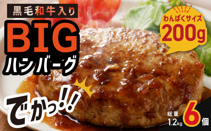 黒毛和牛入り BIGハンバーグ 200g×6個【大阪 泉佐野 大阪府 泉佐野市】