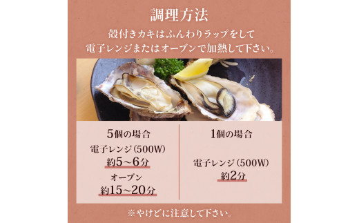 【先行予約】牡蠣むき身 500g 殻付き牡蠣 6個 お楽しみセッ