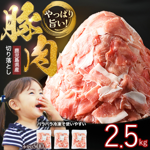 ＼期間限定 ご愛顧感謝寄附額／2.5kg 10000円（2月中旬～3月末発送）鹿児島県産 豚肉 切り落とし (計2.5kg・500g×5P) 訳あり 豚肉【スターゼン】starzen-7296S