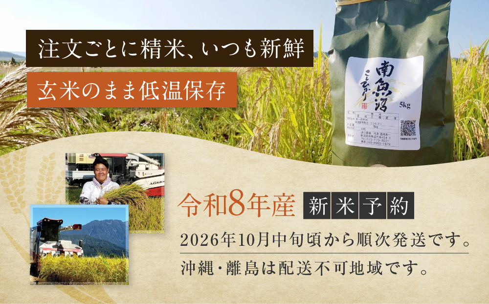 【令和8年産新米予約】【お米定期便/全１２回】南魚沼産コシヒカリ　　白米５ｋｇ【定期便 銘柄米 ブランド米 精米 こしひかり コシヒカリ 魚沼産 新潟米 お米 米 こめ コメ】【2026年10月中旬か