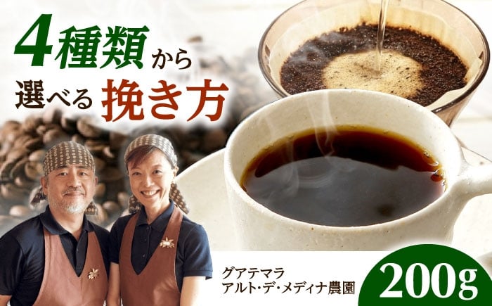 
            【スピード発送】グアテマラ アルト・デ・メディナ農園  200g 豆のまま コーヒー 珈琲 豆 粉 コーヒー豆 コーヒー粉 ドリップ ギフト 大阪府高槻市/自家焙煎コーヒー マウンテン [AOEL055]
          