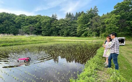 【令和7年産 】自然栽培 ササニシキ 玄米 5kg ≪有機JAS認証転換期間中≫