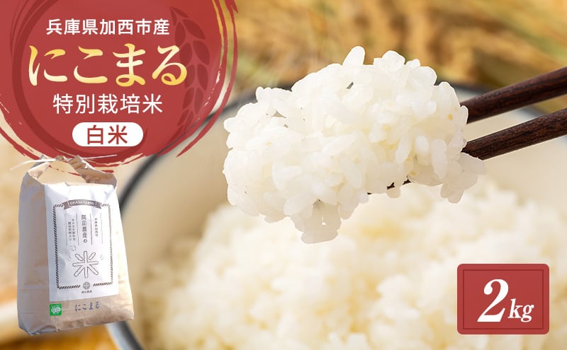 
                  令和7年産 白米 2kg 特別栽培米 にこまる （ 山田錦 ）　米 お米 こめ コメ 特栽米 ひょうご安心ブランド ご飯 ごはん ゴハン 兵庫県 加西市
                