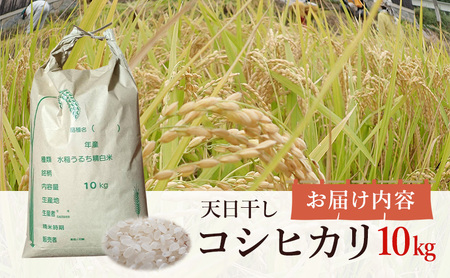 天日干しコシヒカリ10kg 兵庫県 洲本市 淡路島