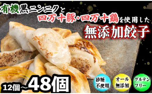 
            有機 黒 ニンニク と 四万十 豚 で作った 最高級 餃子 （ 6個入り x  2~8パック ）ぎょうざ ギョウザ にんにく 高知 野菜
          