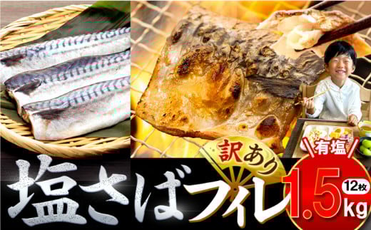 訳あり 塩サバ 約1.5kg 12枚 冷凍 鯖 塩 さば 魚 さかな 海鮮 海産物 おかず サバ 鯖ご飯 おすすめ 人気 さば サバ  鯖 魚 魚介 海鮮 惣菜 塩サバ 塩鯖 焼き鯖 サバ 焼きさば 焼さば 減塩  塩 鯖 さば サバ ギフト おすすめ 人気 ふるさと納税 鯖 サバ さば ふるさと納税さば 愛知県南知多町 南知多 愛知県 愛知県産サバ さば 鯖 南知多町産サバ さば 鯖 塩さば 