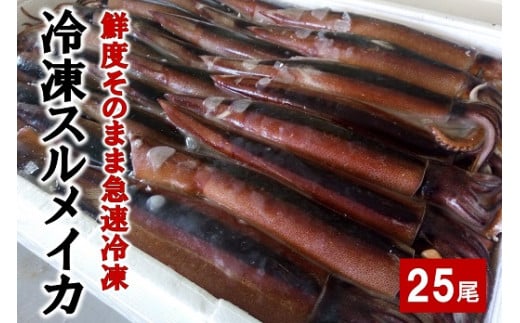 【鮮度そのまま急速冷凍】 冷凍スルメイカ 中25尾入り いか 刺身 いか塩辛 いかめし