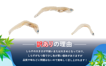 ちりめん 訳あり 600g (200g × 3袋) 和田島産 ちりめん