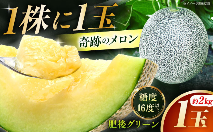 
            【先行予約】 【数量限定】肥後グリーン メロン 約2kg（1玉） 【とみおか農園】 [ZEM005]
          