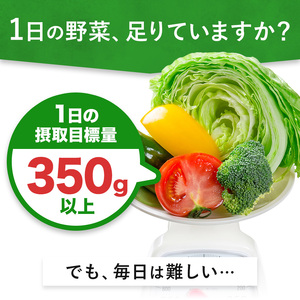 【12ヶ月定期便】1日分の野菜 200ml 24本 伊藤園 野菜ジュース 北海道