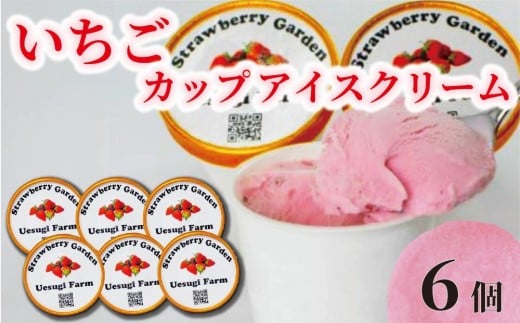 いちご農家のひんやりアイス カップアイス6カップ いちご 苺 イチゴ いちごアイスクリーム アイス アイスクリーム カップアイス 冷たい ひんやり セット 人気 おすすめ ふるさと納税 京都 八幡 八幡市 上杉農園