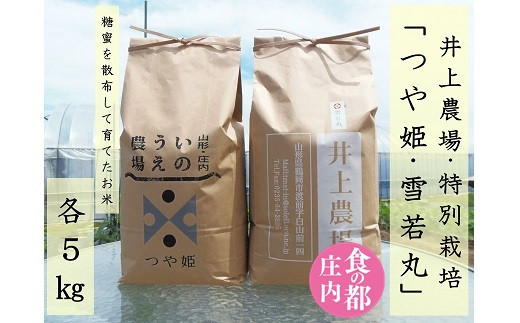 食の都庄内　【令和7年産・無洗米（精米）】特別栽培米食べ比べセット（つや姫＆雪若丸）各5kg《井上農場》
