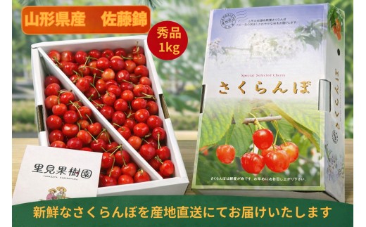 さくらんぼ（佐藤錦）１ｋｇ以上　Ｌサイズ以上　秀品　0079-2602
