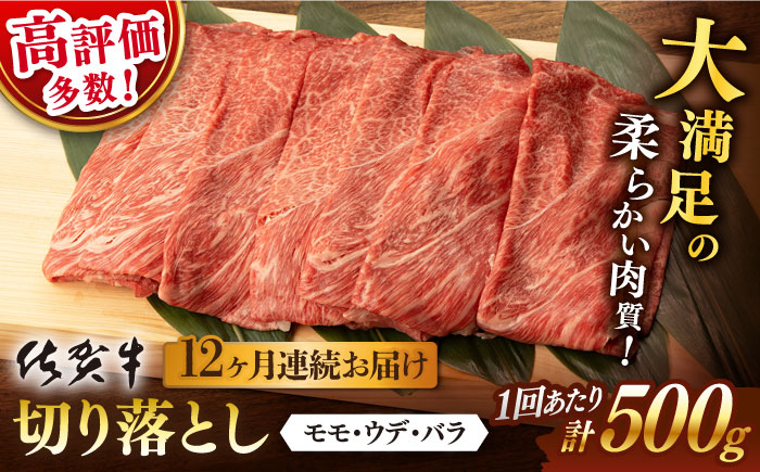 
【12回定期便】 佐賀牛 切り落とし 500g 総計 6.0kg【桑原畜産】 [NAB034] 佐賀牛 牛肉 佐賀県産 黒毛和牛 ブランド牛 佐賀牛 牛肉 A4 切り落とし きりおとし 定期便
