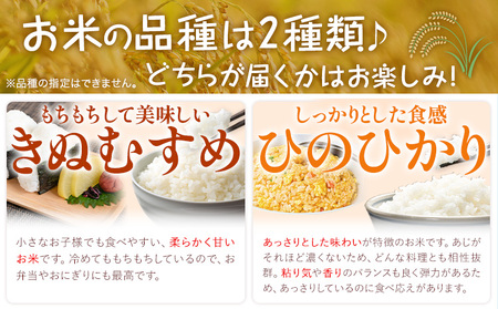 保存用 ありがとう園のお米 きぬむすめ または ひのひかり 10.8kg 1.8kg×6ヶ月 ありがとう園《お申し込み月の翌月から出荷開始》岡山県 矢掛町 米 コメ 定期便 定期
