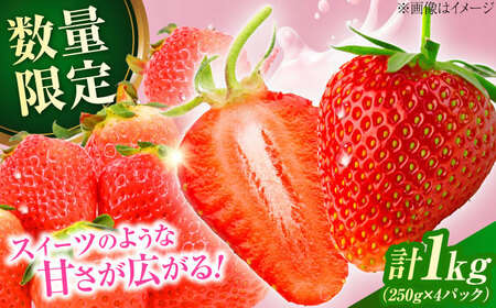 大分産ベリーツ(約250g×4パック) 大分県 日田市 いちご [ARET010]