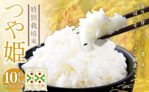 特別栽培米〈令和7年産〉 つや姫 約10kg（約5kg×2袋セット） 白米 10キロ 精米 ブランド米 1等米 お米 山形県 白鷹町 【2026年3月上旬まで発送】