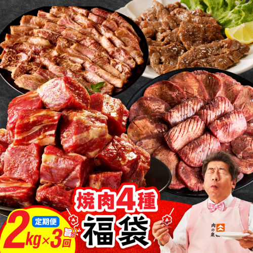 焼肉 福袋 4種セット 定期便 2kg×3回【氷温熟成×特製ダレ 食べ比べ 小分け 500g 牛肉 牛タン ヒレ ハラミ バラ 数量限定 毎月配送コース】 mrzZ027