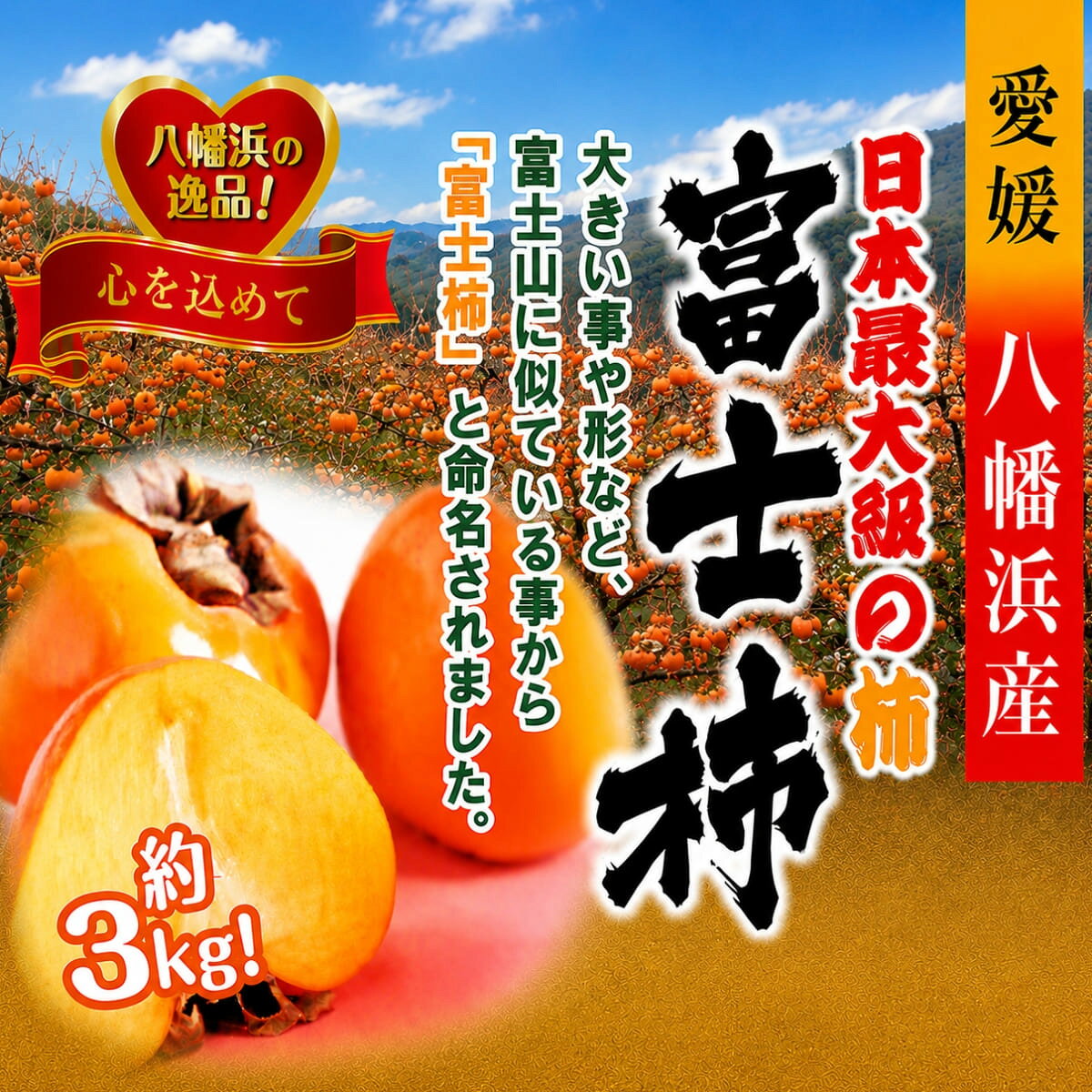 【ふるさと納税】甘さにニッコリ!日本最大級の柿「富士柿」約3キロ【C39-72】_【配送不可地域：離島】【1620371】YWTF047