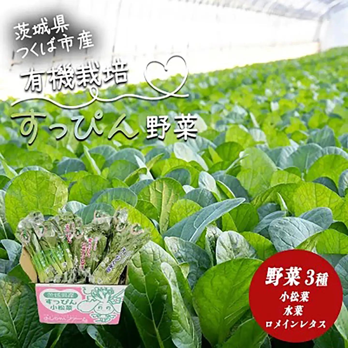 すっぴん有機やさいセット(小松菜・水菜・ロメインレタス) │ オーガニック 野菜