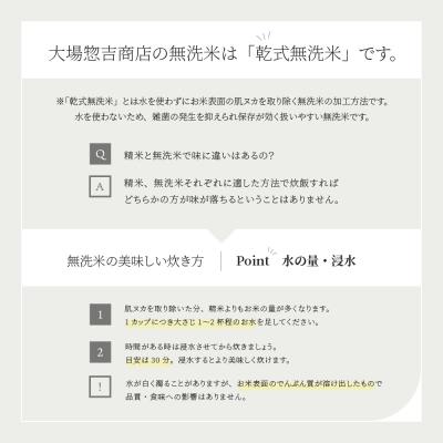 ふるさと納税 大石田町 【3月上旬発送】米 10kg 5kg×2 あきたこまち 令和7年産 山形県産 無洗米 |  | 03