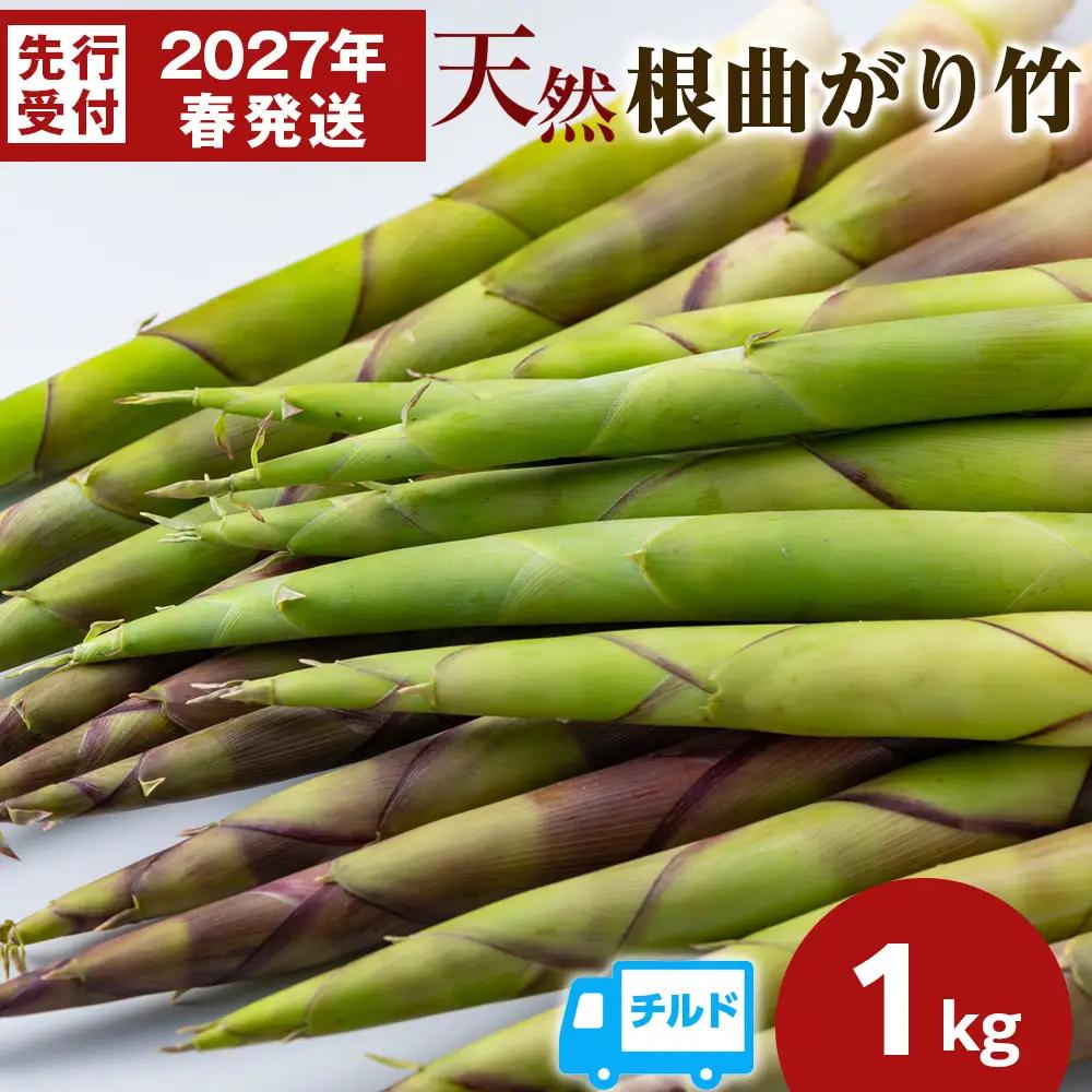 【2027年発送予約】天然 根曲がり竹 1kg 根曲竹 ネマガリタケ 姫竹 笹竹