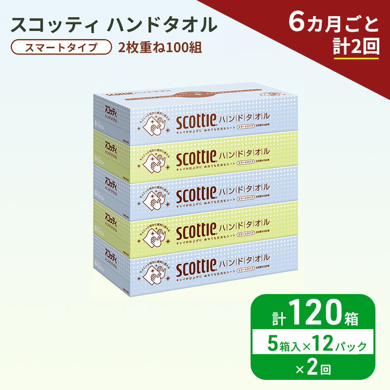 【ふるさと納税】 定期便 ハンドタオル スコッティ 60箱 (5箱×12パック,6ヶ月ごと計2回) ペーパータオル タオル 手拭き 使い捨て 日用品 衛生用品 防災 備蓄 消耗品 新生活 生活用品 生活雑貨 必需品 人気 おすすめ 便利 簡単 らく キレイの仕上げ 送料無料 宮城県 岩沼市