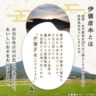 令和6年産特別栽培米コシヒカリ「伊彌彦米」10kg