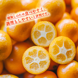 【期間限定・先行予約】きんかん 種なし 約1kg キンカン 種無し 金柑 たねなし 徳島 【2026年2月中旬以降順次発送】