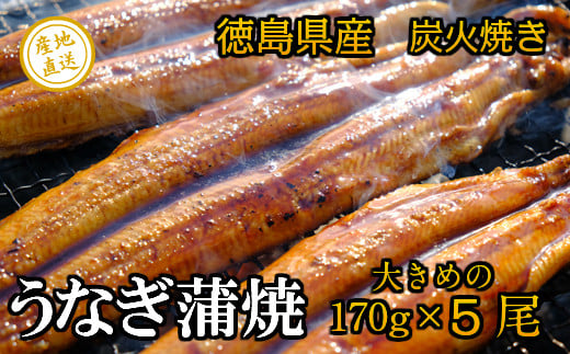徳島県産　うなぎ蒲焼　こだわりの炭火焼　大きめ5尾（170ｇ×5尾）