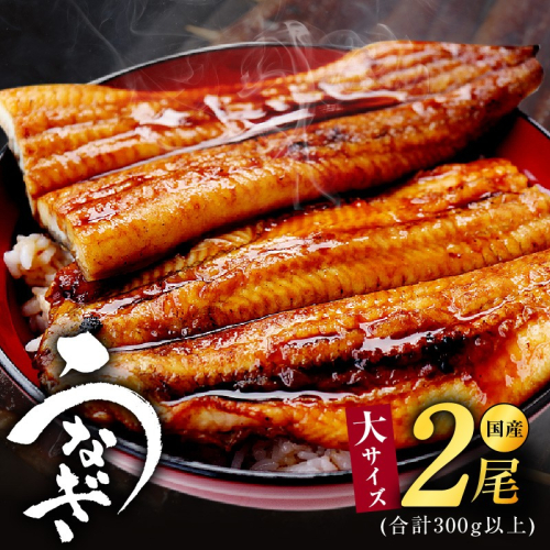 大サイズ 国産うなぎ 2尾 合計300g以上 kgp0038